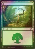 [FOIL] 森/Forest No.374 【日本語版】 [STX-土地C]