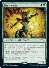 龍護りの精鋭/Dragonsguard Elite 【日本語版】 [STX-緑R]
