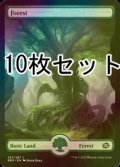 [FOIL] 森/Forest No.287 10枚セット【英語版】 [BRO-土地L]