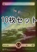 [FOIL] 沼/Swamp No.282 10枚セット【日本語版】 [BRO-土地L]