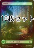 [FOIL] 森/Forest No.306 10枚セット 【英語版】 [FIN-土地L]