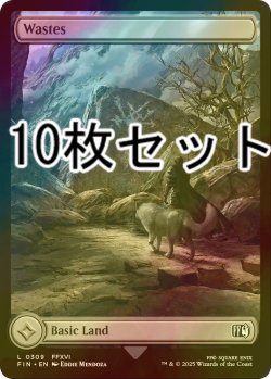 画像1: [FOIL] 荒地/Wastes 10枚セット 【英語版】 [FIN-土地L]