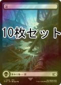 [FOIL] 沼/Swamp No.302 10枚セット 【日本語版】 [FIN-土地L]