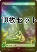 [FOIL] 森/Forest No.307 10枚セット 【日本語版】 [FIN-土地L]