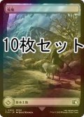 [FOIL] 荒地/Wastes 10枚セット 【日本語版】 [FIN-土地L]