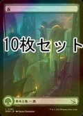 [FOIL] 森/Forest No.290 10枚セット 【日本語版】 [MOM-土地L]