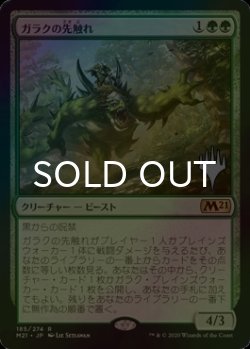 画像1: [FOIL] ガラクの先触れ/Garruk's Harbinger （プロモスタンプ版） 【日本語版】 [M21-緑R]