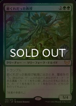 画像1: [FOIL] 節くれだった教授/Gnarled Professor （プロモスタンプ版） 【日本語版】 [STX-緑R]