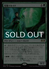 培養ドルイド/Incubation Druid （プロモスタンプ版） 【日本語版】 [RNA-緑R]