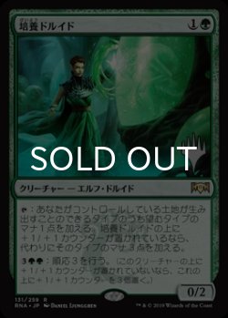 画像1: 培養ドルイド/Incubation Druid （プロモスタンプ版） 【日本語版】 [RNA-緑R]