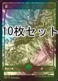 [FOIL] 森/Forest No.276 10枚セット 【日本語版】 [VOW-土地L]