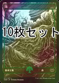 画像1: [FOIL] 森/Forest No.277 10枚セット 【日本語版】 [VOW-土地L]