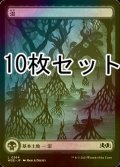 [FOIL] 沼/Swamp No.264 10枚セット【日本語版】 [WOE-土地L]