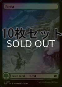 [FOIL] 森/Forest No.281 10枚セット 【英語版】 [BLB-土地L]