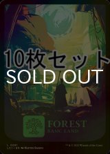 [FOIL] 森/Forest No.291 10枚セット 【英語版】 [LCI-土地L]