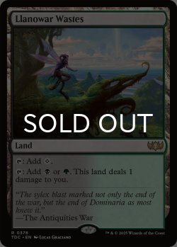 画像1: ラノワールの荒原/Llanowar Wastes 【英語版】 [TDC-土地R]