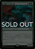 同腹呼びの災い魔/Broodcaller Scourge 【日本語版】 [TDC-緑R]