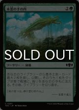 木霊の手の内/Kodama's Reach 【日本語版】 [TDC-緑C]