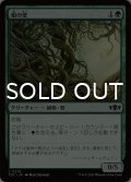 根の壁/Wall of Roots 【日本語版】 [TDC-緑C]