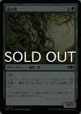 根の壁/Wall of Roots 【日本語版】 [TDC-緑C]