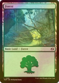 [FOIL] 森/Forest No.285 【英語版】 [TDM-土地C]