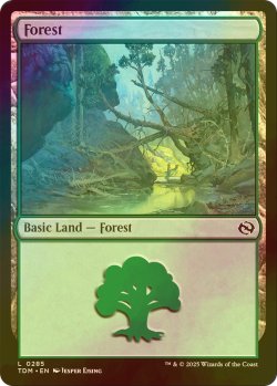 画像1: [FOIL] 森/Forest No.285 【英語版】 [TDM-土地C]