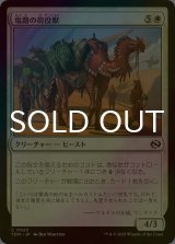 [FOIL] 塩路の荷役獣/Salt Road Packbeast 【日本語版】 [TDM-白C]