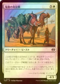 [FOIL] 塩路の荷役獣/Salt Road Packbeast 【日本語版】 [TDM-白C]