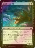 [FOIL] 装飾クロコダイル/Adorned Crocodile 【日本語版】 [TDM-黒C]