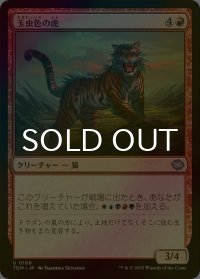 [FOIL] 玉虫色の虎/Iridescent Tiger 【日本語版】 [TDM-赤U]