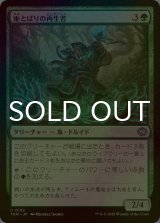 [FOIL] 雨とばりの再生者/Rainveil Rejuvenator 【日本語版】 [TDM-緑U]