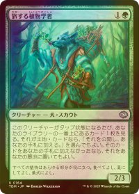 [FOIL] 旅する植物学者/Traveling Botanist 【日本語版】 [TDM-緑U]