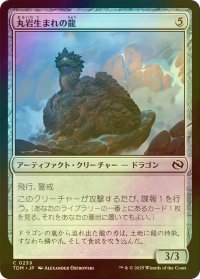 [FOIL] 丸岩生まれの龍/Boulderborn Dragon 【日本語版】 [TDM-灰C]