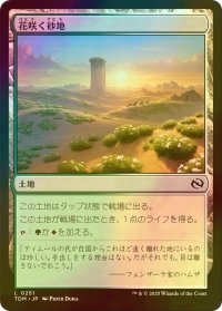 [FOIL] 花咲く砂地/Blossoming Sands 【日本語版】 [TDM-土地C]