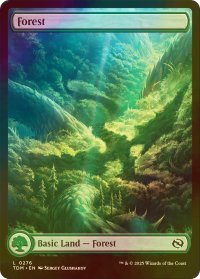 [FOIL] 森/Forest No.276 (全面アート版) 【英語版】 [TDM-土地C]