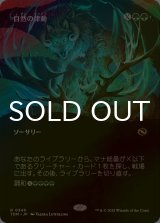 [FOIL] 自然の律動/Nature's Rhythm (全面アート版) 《特価品》 【日本語版】 [TDM-緑R]