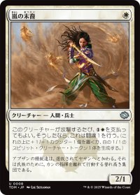 嵐の末裔/Descendant of Storms 【日本語版】 [TDM-白U]