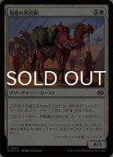 塩路の荷役獣/Salt Road Packbeast 【日本語版】 [TDM-白C]