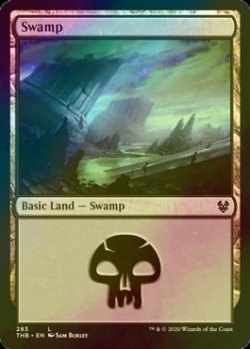 画像1: [FOIL] 沼/Swamp No.283 【英語版】 [THB-土地C]