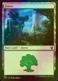 [FOIL] 森/Forest No.287 【英語版】 [THB-土地C]