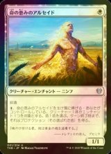 [FOIL] 命の恵みのアルセイド/Alseid of Life's Bounty 【日本語版】 [THB-白U]