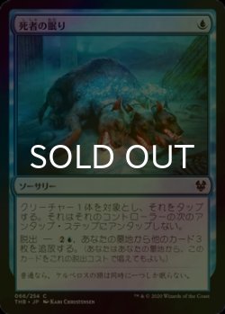 画像1: [FOIL] 死者の眠り/Sleep of the Dead 【日本語版】 [THB-青C]