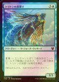 [FOIL] トリトンの波渡り/Triton Waverider 【日本語版】 [THB-青C]