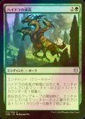 [FOIL] ハイドラの成長/Hydra's Growth 【日本語版】 [THB-緑U]