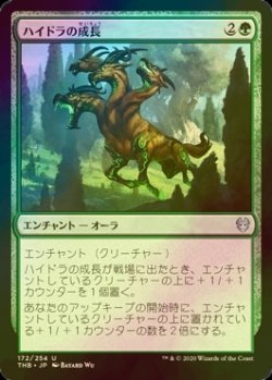 画像1: [FOIL] ハイドラの成長/Hydra's Growth 【日本語版】 [THB-緑U]