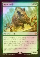 [FOIL] ネシアンの猪/Nessian Boar 【日本語版】 [THB-緑R]
