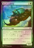 [FOIL] ネシアンの角甲虫/Nessian Hornbeetle 【日本語版】 [THB-緑U]