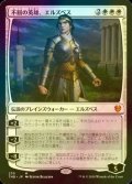 [FOIL] 不屈の英雄、エルズペス/Elspeth, Undaunted Hero 【日本語版】 [THB-白PW]