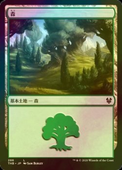 画像1: [FOIL] 森/Forest No.286 【日本語版】 [THB-土地C]