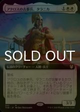 [FOIL] アクロスの古参兵、タラニカ/Taranika, Akroan Veteran (拡張アート版) 【日本語版】 [THB-白R]